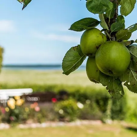 Haus Am Bodden 03 Apartamento