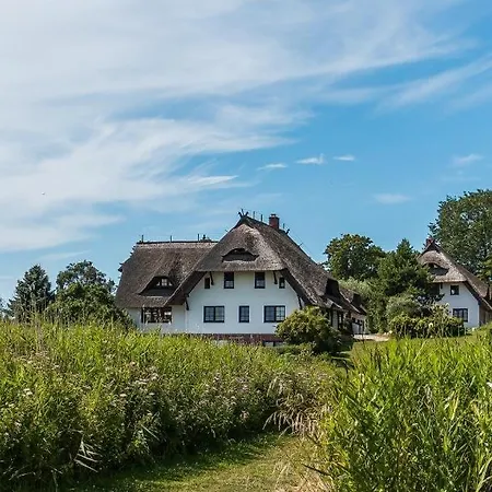 Apartamento Haus Am Bodden 03 Ahrenshoop